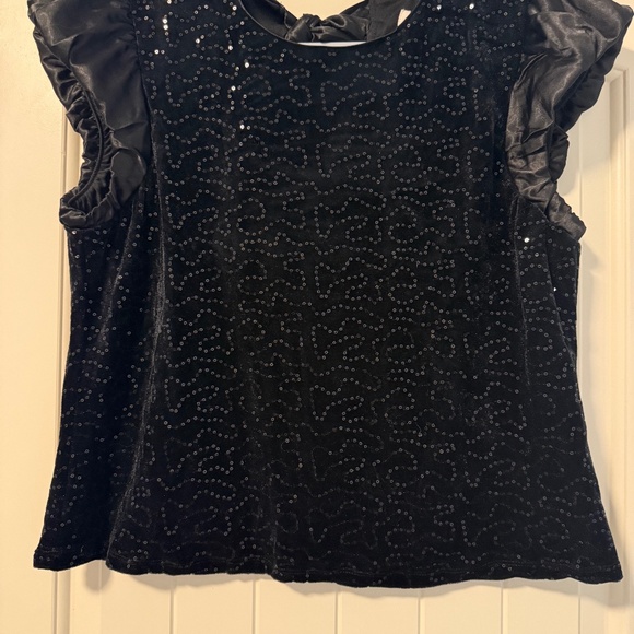 Nanette Lepore Women’s Short Sleeve Embroidered Sequin Black Velvet Top Size L - Picture 1 of 11